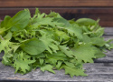 Aasialaisia kaaleja ''Asian All Green Mix'', Aasialaiset lehtikaalikasvit, joill