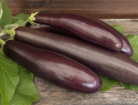 Munakoiso ''Violetta lunga 3'', Pitkät, ohuet, purppuranmustat hedelmät.